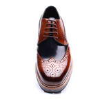 Felipe Wingtip Dress Shoes // Brown + Dark Blue (Euro: 41)