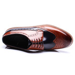 Felipe Wingtip Dress Shoes // Brown + Dark Blue (Euro: 41)