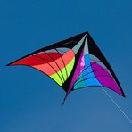 Stowaway Delta Line Kite + 2 Wingtip Tails // Spectrum