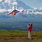 Stowaway Delta Line Kite + 2 Wingtip Tails // Spectrum