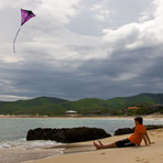 Stowaway Diamond Single Line Kite // Purple Haze