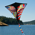 Stowaway Diamond Single Line Kite // Radiance