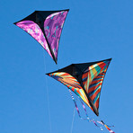 Stowaway Diamond Single Line Kite // Radiance