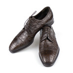 Brioni // Crocodile Leather Derby Dress Shoes // Brown (US: 9)