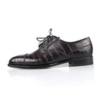 Brioni // Crocodile Leather Oxfords Dress Shoes // Brown (US: 7.5)