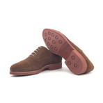 Oxford // Med Brown Lux Suede (Euro: 44)