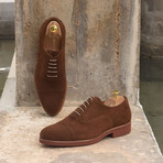 Oxford // Med Brown Lux Suede (Euro: 45)