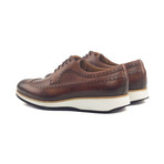 Longwing Blucher Burnishing // Med Brown Painted Calf (Euro: 43)