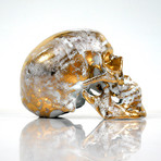 Skull Gold B // NooN