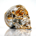 Skull Gold B // NooN