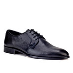 Lochlan Shoes // Black (Euro: 44)