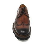 Forte // Brown (Euro: 39.5)