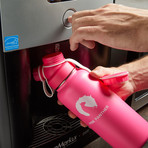 Insulated Stainless Steel Flask // 32oz // Pink Panther