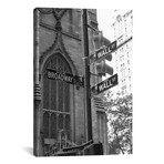 Wall Street Signs (New York City) // Christopher Bliss (18"W x 26"H x 0.75"D)