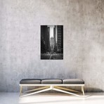 Bull Market // Matt Coglianese (26"W x 18"H x 0.75"D)