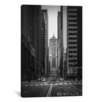 Bull Market // Matt Coglianese (26"W x 18"H x 0.75"D)