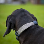 CollarLess Fixed Loop Dog Collar + Silent ID Dog Tag // Tweed