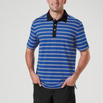 Shamus Auto Stripe Polo // Dark Royal + White + Black (S)