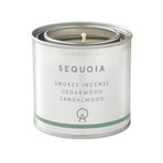 Sequoia Scented Candle // 7oz