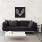 Cicada Wings White Artprint // Cat Coquillette (18"W x 18"H x 0.75"D)