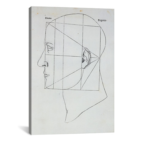 The Human Head, illustration for 'Divina Proportione' // Luc // Leonardo da Vinci (26"W x 18"H x 0.75"D)