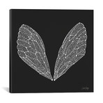 Cicada Wings White Artprint // Cat Coquillette (18"W x 18"H x 0.75"D)