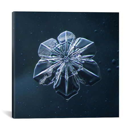 Snowflake 009.2.9.2014 // Print Collection (18"W x 18"H x 0.75"D)