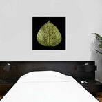 Green Leaf // PhotoINC Studio (18"W x 18"H x 0.75"D)