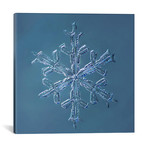 Stellar Dendrite Snowflake 001.2.16.2014 // Print Collection (18"W x 18"H x 0.75"D)