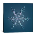 Stellar Dendrite Snowflake 005.2.16.2014 // Print Collection (18"W x 18"H x 0.75"D)