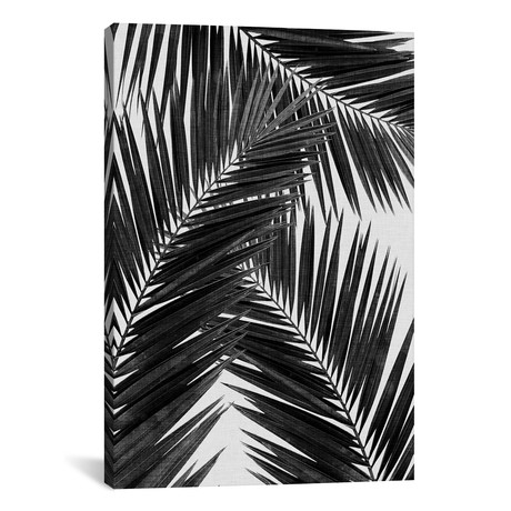 Palm Leaf III B&W // Orara Studio (26"W x 18"H x 0.75"D)