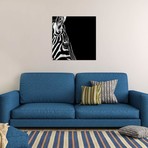 Zebra In Black & White III // Lukas Holas (18"W x 18"H x 0.75"D)