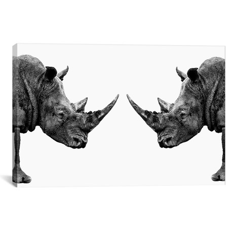 Rhinos Face to Face White Edition // Philippe Hugonnard (26"W x 18"H x 0.75"D)