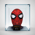 Signed + Framed Mask // Spiderman // Stan Lee