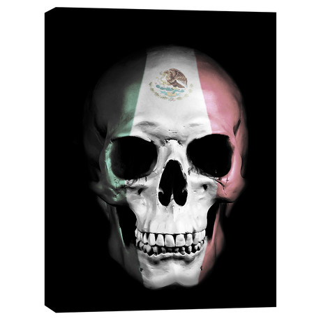 Mexican Skull (12"W x 16"H x 0.75"D)