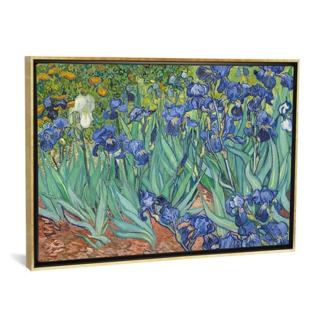 Irises, 1889 // Vincent van Gogh (18"W x 26"H x 0.75"D)