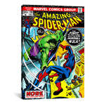 Spider-Man Issue Cover #120 (26"W x 18"H x 0.75"D)