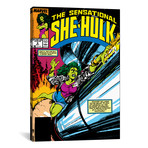 She-Hulk: The One Big Problem With Being A Super Hero, Comic (26"W x 18"H x 0.75"D)