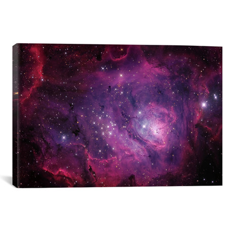 The Lagoon Nebula (M8) // Michael Miller (18"W x 26"H x 0.75"D)