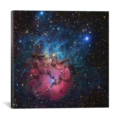The Trifid Nebula (NGC 6514) // R. Jay GaBany (18"W x 18"H x 0.75"D)