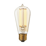 Bushwick LED ST18 Vintage Edison Bulb // Bundle of 2