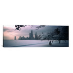 Snow covered tree on the beach with a city in the background // Panoramic Images (12"W x 36"H x 0.75"D)