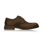 Frank Dress shoes // Brown (Euro: 40)