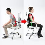 Posture Keeper // 3-in-1 Lumbar Support System