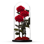 Everlasting Rose TRIO // Red (Small)