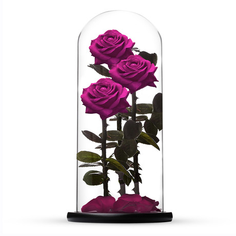 Everlasting Rose TRIO // Pink (Large)