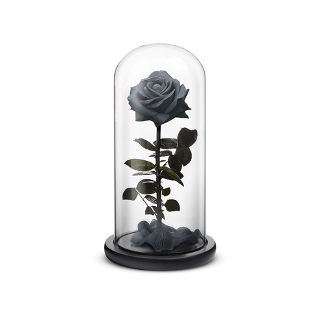 Everlasting Rose // Black (Small)