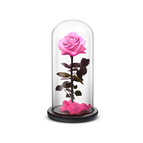 Everlasting Rose // Pink (Large)