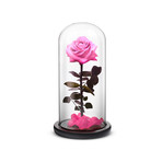 Everlasting Rose // Pink (Small)