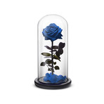 Everlasting Rose // Blue (Small)